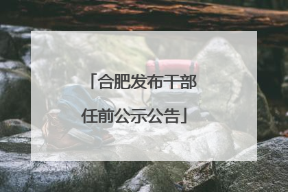 合肥发布干部任前公示公告