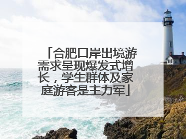 合肥口岸出境游需求呈现爆发式增长，学生群体及家庭游客是主力军