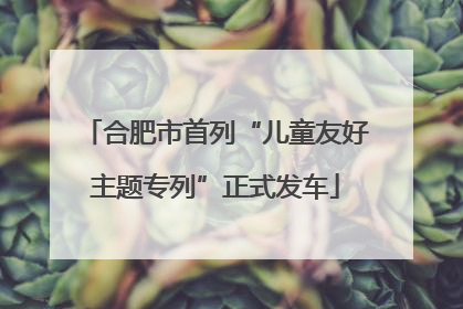 合肥市首列“儿童友好主题专列”正式发车