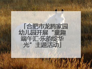合肥市龙腾家园幼儿园开展“童趣端午汇·乐韵绽华光”主题活动