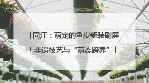 同江：萌宠的鱼皮新装刷屏！非遗技艺与“萌态跨界”