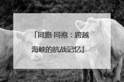 同胞·同袍：跨越海峡的抗战记忆