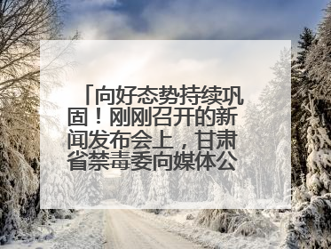 向好态势持续巩固！刚刚召开的新闻发布会上，甘肃省禁毒委向媒体公布三年禁毒工作“成绩单”