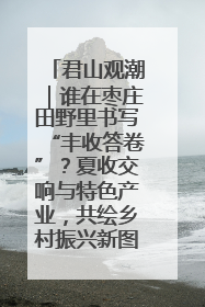 君山观潮｜谁在枣庄田野里书写“丰收答卷”？夏收交响与特色产业，共绘乡村振兴新图景