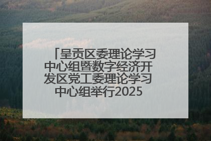 呈贡区委理论学习中心组暨数字经济开发区党工委理论学习中心组举行2025年第七次学习会议
