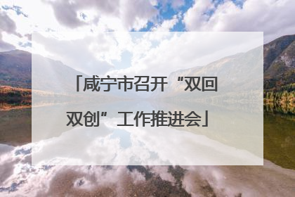 咸宁市召开“双回双创”工作推进会