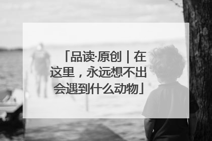 品读·原创｜在这里，永远想不出会遇到什么动物