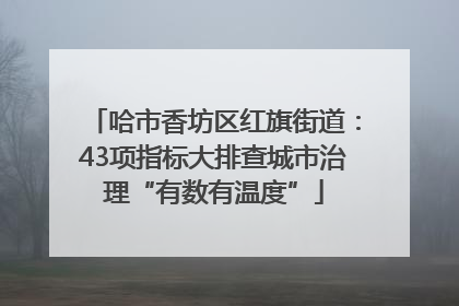 哈市香坊区红旗街道：43项指标大排查城市治理“有数有温度”