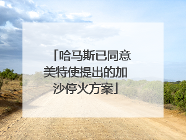 哈马斯已同意美特使提出的加沙停火方案