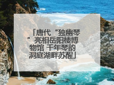 唐代“独幽琴”亮相岳阳楼博物馆 千年琴韵洞庭湖畔苏醒