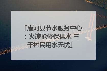 唐河县节水服务中心：火速抢修保供水 三千村民用水无忧