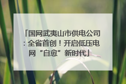 国网武夷山市供电公司：全省首创！开启低压电网“自愈”新时代