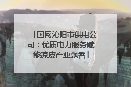 国网沁阳市供电公司：优质电力服务赋能凉皮产业飘香
