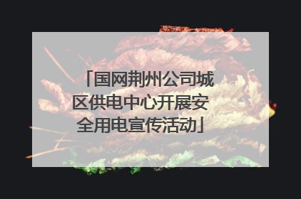 国网荆州公司城区供电中心开展安全用电宣传活动