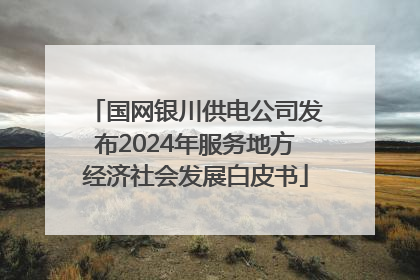 国网银川供电公司发布2024年服务地方经济社会发展白皮书