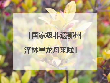 国家级非遗鄂州泽林旱龙舟来啦