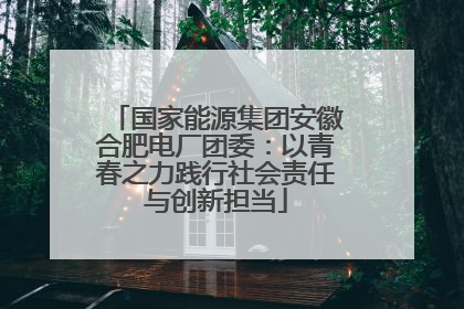 国家能源集团安徽合肥电厂团委：以青春之力践行社会责任与创新担当