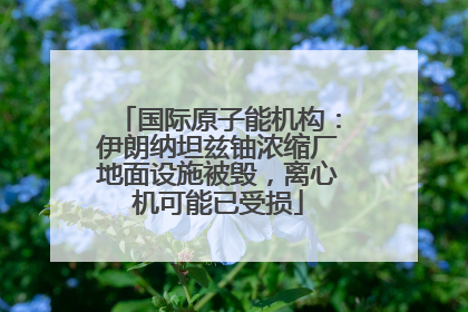 国际原子能机构：伊朗纳坦兹铀浓缩厂地面设施被毁，离心机可能已受损