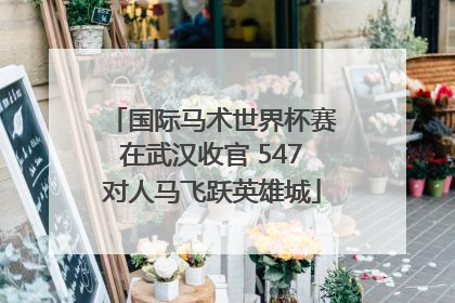 国际马术世界杯赛在武汉收官 547对人马飞跃英雄城