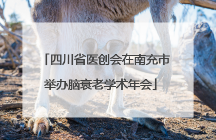四川省医创会在南充市举办脑衰老学术年会