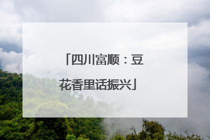 四川富顺：豆花香里话振兴