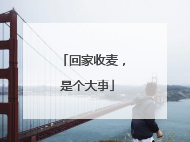 回家收麦，是个大事