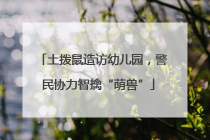 土拨鼠造访幼儿园，警民协力智擒“萌兽”