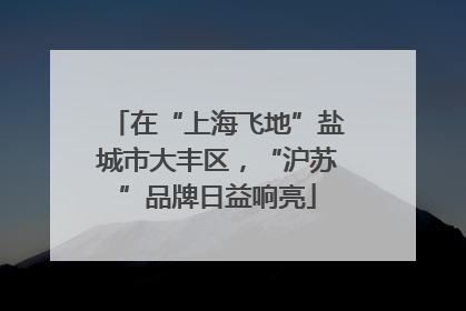 在“上海飞地”盐城市大丰区，“沪苏”品牌日益响亮
