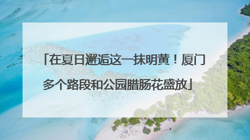 在夏日邂逅这一抹明黄！厦门多个路段和公园腊肠花盛放