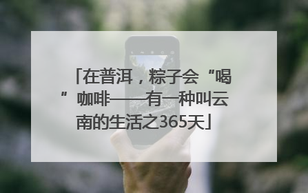 在普洱，粽子会“喝”咖啡——有一种叫云南的生活之365天