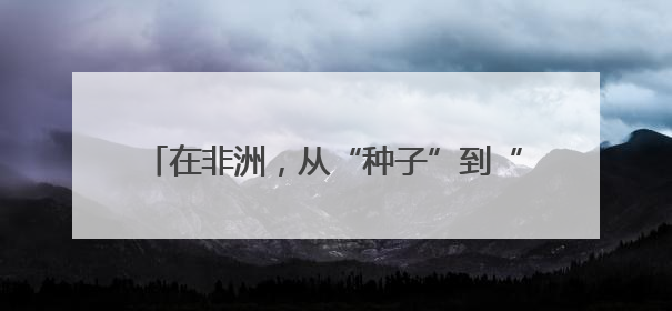在非洲，从“种子”到“杯子”的遥远距离——一颗咖啡豆的前世今生（三）