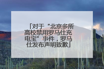 对于“北京多所高校禁用罗马仕充电宝”事件，罗马仕发布声明致歉