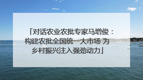 对话农业农批专家马增俊：构建农批全国统一大市场 为乡村振兴注入强劲动力