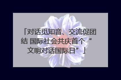 对话觅知音、交流促团结 国际社会共庆首个“文明对话国际日”