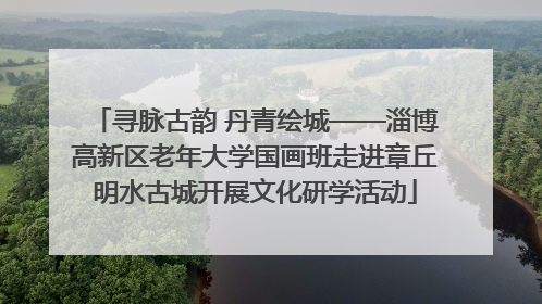寻脉古韵 丹青绘城——淄博高新区老年大学国画班走进章丘明水古城开展文化研学活动
