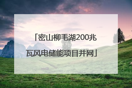 密山柳毛湖200兆瓦风电储能项目并网