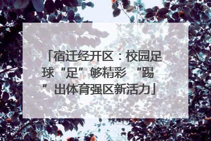 宿迁经开区：校园足球“足”够精彩 “踢”出体育强区新活力