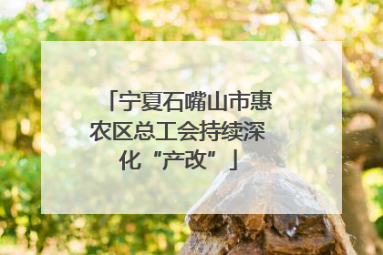 宁夏石嘴山市惠农区总工会持续深化“产改”