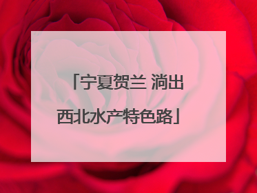 宁夏贺兰 淌出西北水产特色路