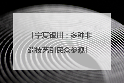 宁夏银川：多种非遗技艺引民众参观
