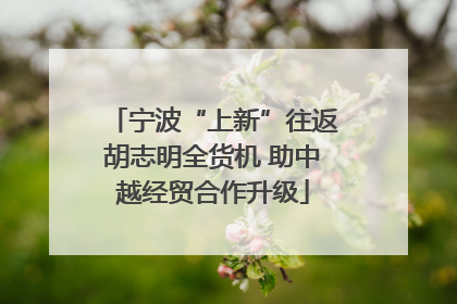 宁波“上新”往返胡志明全货机 助中越经贸合作升级