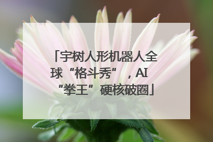 宇树人形机器人全球“格斗秀”，AI“拳王”硬核破圈