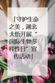 守护生命之美，湖北大悟开展“国际生物多样性日”宣传活动