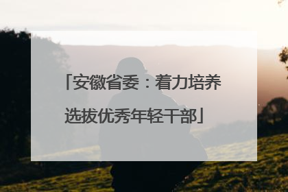 安徽省委：着力培养选拔优秀年轻干部