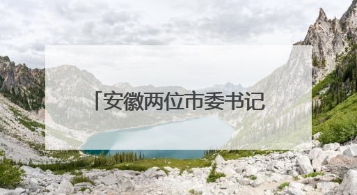 安徽两位市委书记率队赴上海考察，去了哪些企业？