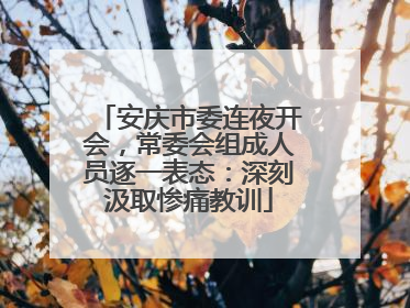 安庆市委连夜开会，常委会组成人员逐一表态：深刻汲取惨痛教训