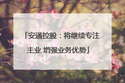 安通控股：将继续专注主业 增强业务优势