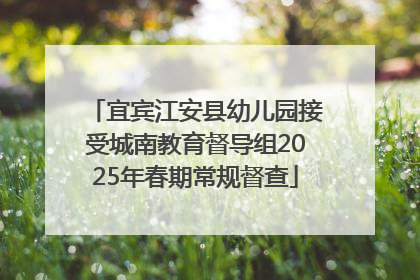 宜宾江安县幼儿园接受城南教育督导组2025年春期常规督查