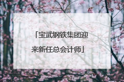 宝武钢铁集团迎来新任总会计师