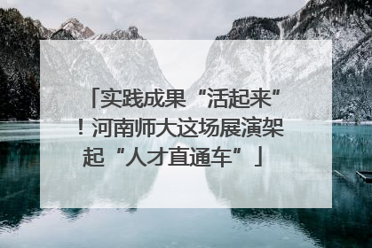 实践成果“活起来”！河南师大这场展演架起“人才直通车”